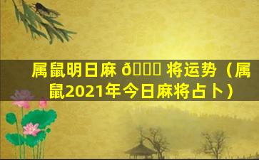 属鼠明日麻 🐞 将运势（属鼠2021年今日麻将占卜）